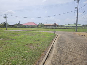 Details SEKRE PATU BUITEN (EURO 60 PER M2)