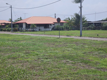 Details SEKRE PATU BUITEN (EURO 60 PER M2)